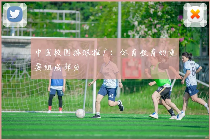 中国校园排球推广：体育教育的重要组成部分