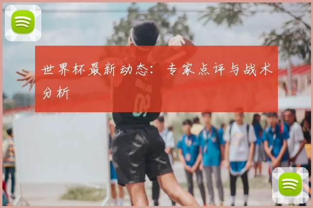 世界杯最新动态：专家点评与战术分析