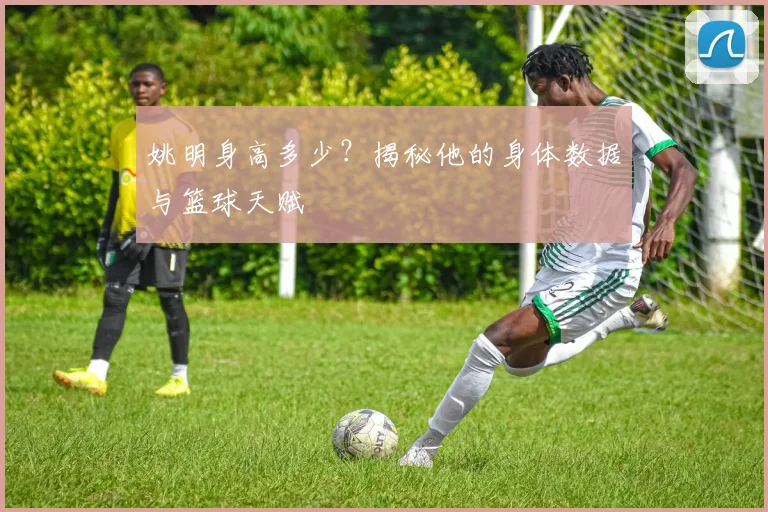姚明身高多少？揭秘他的身体数据与篮球天赋
