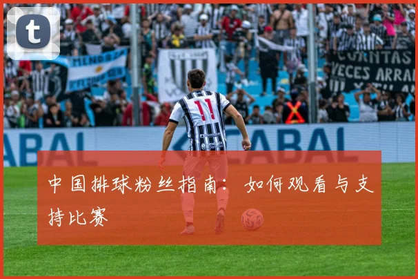 中国排球粉丝指南：如何观看与支持比赛