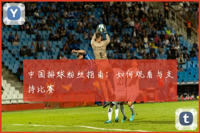 中国排球粉丝指南：如何观看与支持比赛