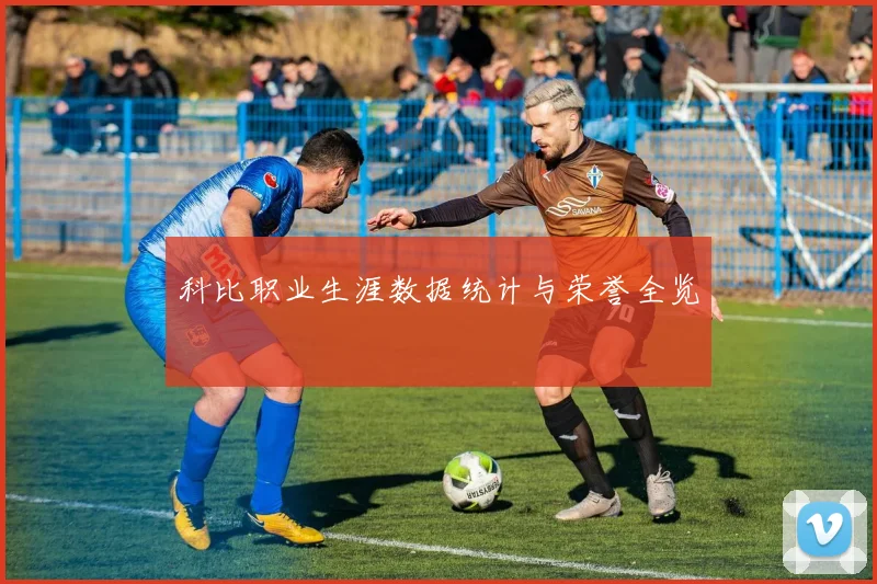科比职业生涯数据统计与荣誉全览