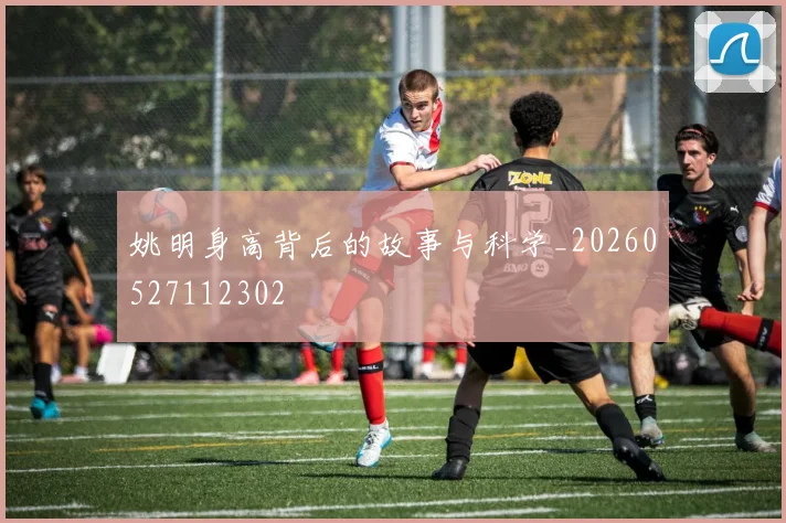姚明身高背后的故事与科学_20260527112302